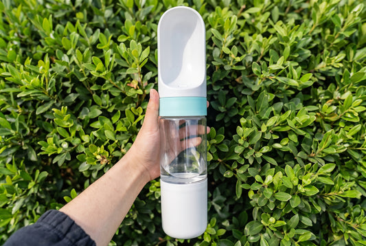 Portable Dog Water Bottle, 320ml/500ml Pet Water Dispenser for Dogs & Cats, Travel Drinking Cup